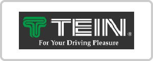 TEINロゴ