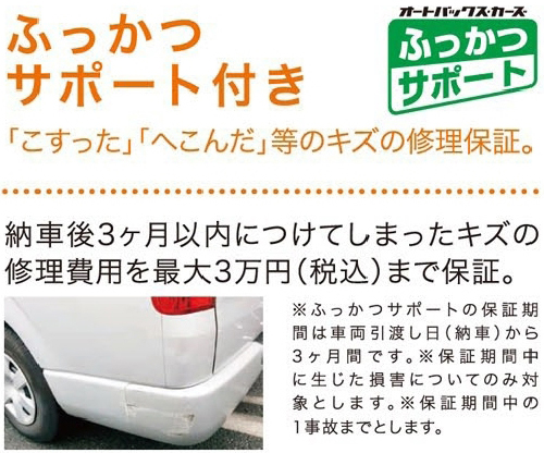ふっかつサポート付き